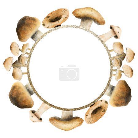 Téléchargez les photos : Modèle de cadre rond aux champignons comestibles marron avec illustration aquarelle bordure dorée isolée sur fond blanc pour les dessins de forêt d'automne, les cartes à thème des bois et les recettes. - en image libre de droit