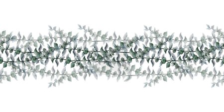 Téléchargez les photos : Floral eucalyptus bordure sans couture avec des branches de dollar d'argent sur fond blanc. Illustration d'aquarelle verte botanique élégante. - en image libre de droit