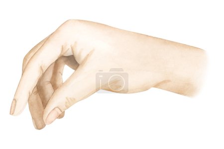 Photo for Watercolor human hand in holding pose illustration isolated on white background for chess game designs. - Royalty Free Image