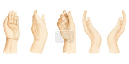 Téléchargez les photos : Aquarelle mains gestes illustration mis isolé sur fond blanc. Minimaliste simple soins de la main humaine, paume tenant clipart. - en image libre de droit
