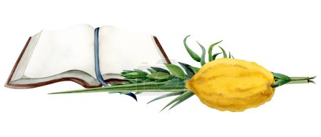 Téléchargez les photos : Sukkot plantes traditionnelles avec illustration aquarelle livre Torah ouvert. Quatre espèces de branches de saule et de myrte, etrog citron fruit, la fronde de palmier pour les vacances juives. - en image libre de droit
