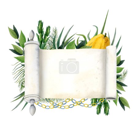 Téléchargez les photos : Sukkot bannière tempérer avec blanc rouleau Torah et symboles aquarelle illustration isolée sur fond blanc. Quatre espèces etrog fruit, hadass, lulav, aravah, myrte et saule. - en image libre de droit