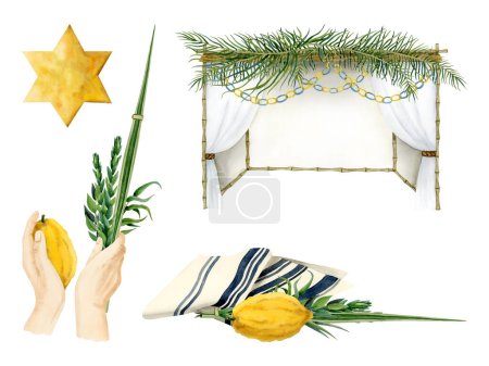 Sukkot symbols, sukkah, tallit, waving the Lulav and yellow gold star of David watercolor illustration set. Four species etrog, hadass, lulav, aravah or willow and myrtle branches, citron, palm leaf.