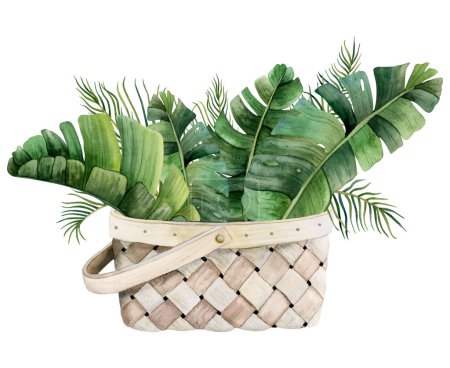 Téléchargez les photos : Bouquet tropical aquarelle de feuilles de palmier et de banane dans un panier en osier illustration botanique isolée sur fond blanc pour cartes, autocollants, boutiques florales et web design. - en image libre de droit
