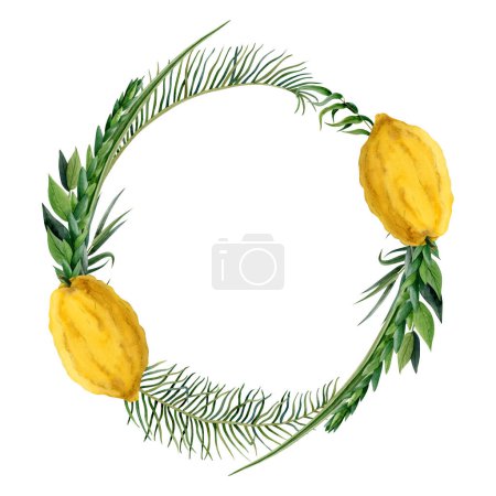 Photo for Sukkot traditional plants round wreath watercolor illustration isolated on white background with etrog, four species for Jewish holiday greeting cards, stickers and invitations. - Royalty Free Image