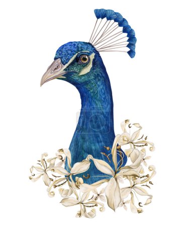 Photo for Peacock head portrait in light beige lily flowers watercolor illustration of realistic colorful blue tropical bird clipart for stickers and cards. - Royalty Free Image