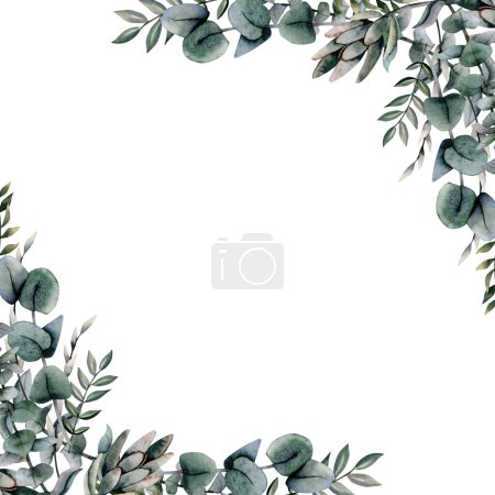 Foto de Eucalipto marco de esquina cuadrada con ramas de plata dólar sobre fondo blanco. Plantilla elegante botánica floral verde acuarela ilustración. - Imagen libre de derechos