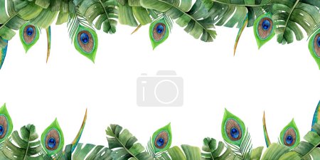 Téléchargez les photos : Plumes de paon dans les feuilles de palmier bannière horizontale illustration aquarelle sur fond blanc avec espace de copie. Plume d'oiseau exotique tropicale dessinée à la main en vert et bleu. - en image libre de droit