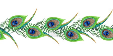 Téléchargez les photos : Peacock plumes horizontale bordure transparente aquarelle illustration sur fond blanc. Plume d'oiseau exotique tropicale dessinée à la main en vert et bleu. - en image libre de droit
