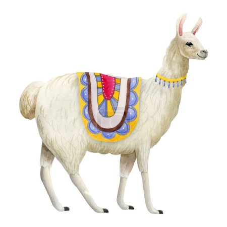 Foto de Acuarela llama o alpaca con decoración tradicional y manta ilustración dibujada a mano aislada sobre fondo blanco. Lindo animal de granja para diseños de niños, arte de impresión o pared. - Imagen libre de derechos