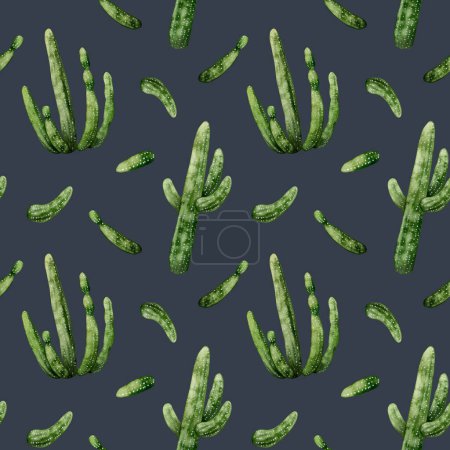 Foto de Azul oscuro y verde Saguaro Carnegia cactus acuarela patrón sin costuras. Plantas mexicanas y americanas de fondo salvaje del oeste. - Imagen libre de derechos