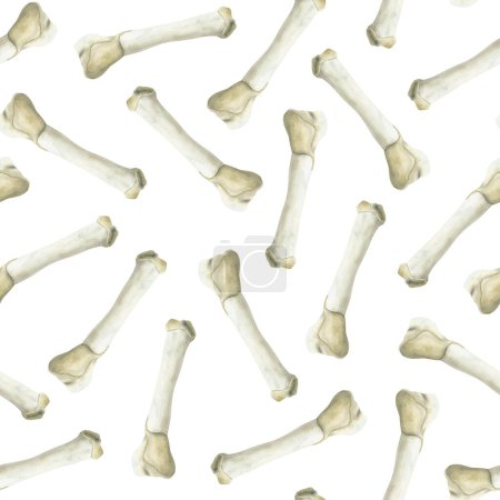 Foto de Patrón sin costura de huesos de animales de acuarela sobre fondo blanco para diseños de fósiles arqueológicos de dinosaurios. - Imagen libre de derechos