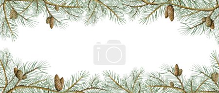Photo for Spruce branches horizontal banner with pine cones for winter and Christmas watercolor illustration isolated on white background. Holiday template. - Royalty Free Image
