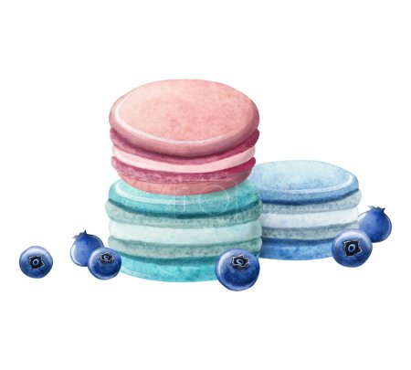 Photo for Macaroons pyramid in pastel pink and teal colors with blueberries illustration isolated on white background. Delicious dessert food for cafe and bakeries. - Royalty Free Image