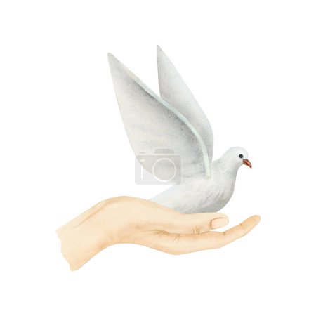 Téléchargez les photos : Colombe volante blanche de paix assise sur une aquarelle à la main. Oiseau pigeon dessiné à la main dans un style simple réaliste. - en image libre de droit