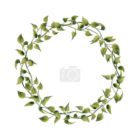 Photo for Epipremnum liana vine wreath watercolor illustration isolated on white. Simple realistic round frame for organic, floral and botanical design of stickers and labels. - Royalty Free Image