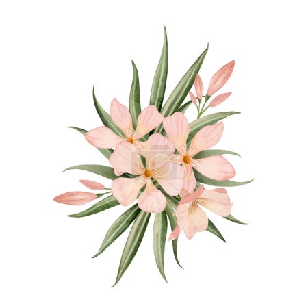Photo for Lush Oleander flowers bouquet with buds and leaves watercolor illustration isolated on white background. Peach pastel pink color floral clipart for wedding and tropical designs. - Royalty Free Image