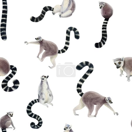 Téléchargez les photos : Drôle de motif sans couture d'aquarelle de lémuriens à queue annulaire sur fond blanc avec des animaux tropicaux et des singes de Madagascar en gris, noir et blanc. - en image libre de droit