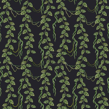 Foto de Viñas tropicales con lianas monstera obliqua acuarela patrón sin costuras sobre fondo verde oscuro. Plantas de selva tropical de la selva. - Imagen libre de derechos