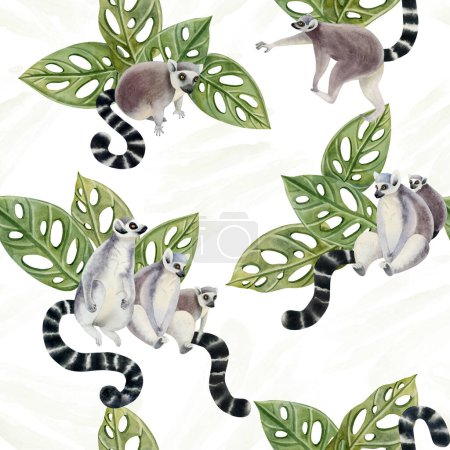 Téléchargez les photos : Lémuriens à queue annulaire avec des feuilles de monstère tropicale motif sans couture aquarelle sur fond blanc avec des singes tropicaux Madagascar dans les couleurs vertes, grises et blanches. - en image libre de droit