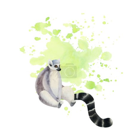 Photo for Sitting funny desperate ring-tailed lemur with long black and white tail on neon green watercolor splashes illustration isolated on white background. Madagascar tropical animal in card template. - Royalty Free Image