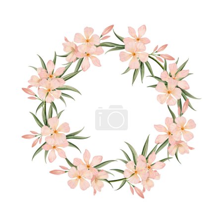 Téléchargez les photos : Guirlande ronde fleurie rose pastel cadre aquarelle illustration florale isolée sur fond blanc avec des fleurs et des feuilles de pêche oléandre pâle. Dessin botanique d'été pour autocollants. - en image libre de droit