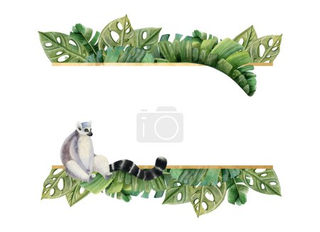 Foto de Tropical palmera hojas marco horizontal con lémur mono acuarela ilustración aislado sobre fondo blanco para eventos de verano y fiestas. - Imagen libre de derechos