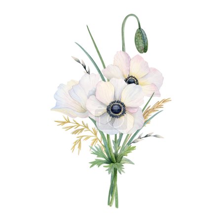 White field poppy anemone flower bouquet with bud and dry grass watercolor illustration isolated on white background for spring Women's day cards.