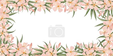 Téléchargez les photos : Oléandre fleurs tropicales cadre horizontal ou vertical. Illustration aquarelle florale isolée sur fond blanc. Modèle d'été botanique pour la conception d'étiquettes, cartes et autocollants. - en image libre de droit