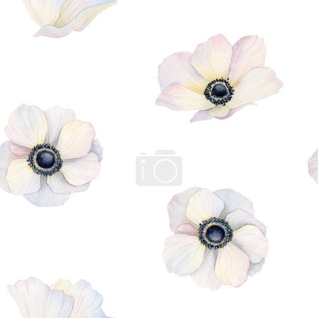 Photo for Pastel anemone spring flowers watercolor seamless pattern on white background. Botanical floral hand drawn illustration for fabrics, stationery and elegant bed linen. - Royalty Free Image