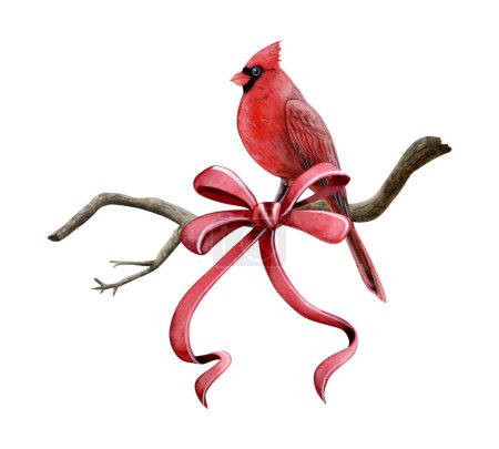Téléchargez les photos : Oiseau cardinal rouge sur branche nue avec ruban rouge arc aquarelle illustration pour Noël et Nouvel An vacances d'hiver symboles conception et cartes de voeux. - en image libre de droit