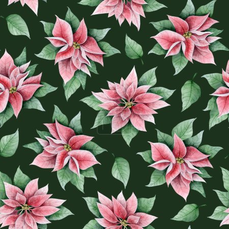 Photo for Poinsettia Christmas flowers on dark green watercolor floral seamless pattern. Vintage background for winter holidays greeting cards, wrapping paper and festive textiles. - Royalty Free Image