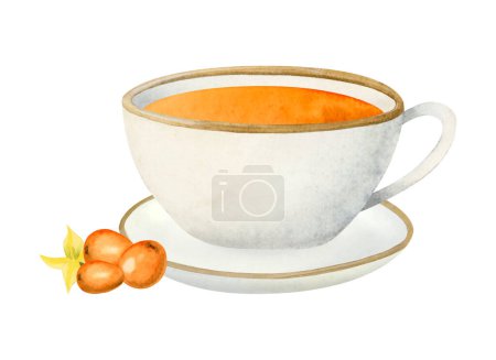 Téléchargez les photos : Thé d'argousier orange dans une tasse et une soucoupe en céramique blanche et illustration aquarelle aux baies d'Hippophae isolée sur fond blanc. Boisson chaude à base de plantes pour un petit déjeuner sain. - en image libre de droit