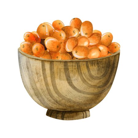 Photo for Sea buckthorn ripe orange berries in wooden bowl watercolor illustration isolated on white background in rustic style for organic natural products designs. - Royalty Free Image