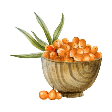 Photo for Watercolor sea buckthorn ripe orange berries in wooden bowl with green leaves illustration isolated on white background in rustic style for organic natural products designs. - Royalty Free Image