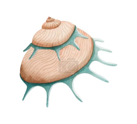 Spirale Muschel in beigen und grünen Farben Aquarell-Illustration. Sonnenträger Muschelmollusk für den sommerlichen Meeresurlaub. Tropische ozeanische Muschelklippe.