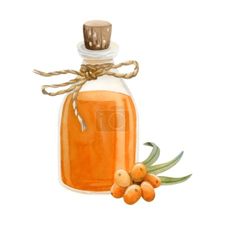Photo for Organic sea buckthorn oil in glass bottle with cork and orange berries branch watercolor illustration isolated on white background. Natural herbal product for medical cosmetics. - Royalty Free Image