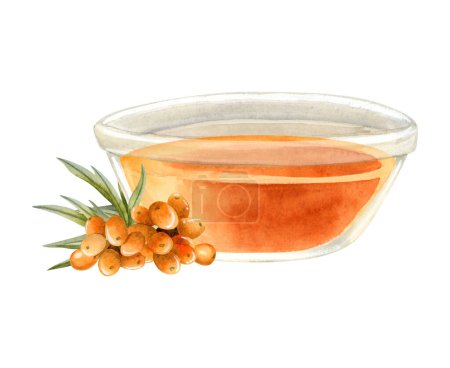 Photo for Watercolor sea buckthorn oil in glass bowl with berries branch hand drawn illustration isolated on white. Organic herbal product for healthy lifestyle, natural cosmetics and traditional medicine. - Royalty Free Image