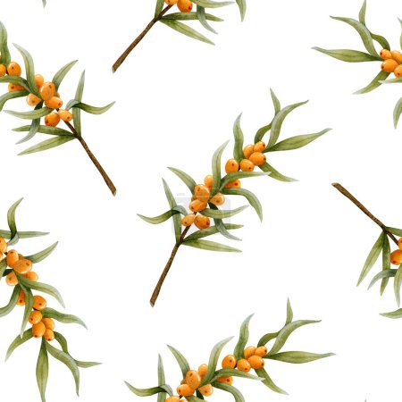 Photo for Sea buckthorn watercolor seamless pattern on white with orange berries on branches. Botanical fall background in warm orange and green color for medical cosmetics, herbal products and organic food. - Royalty Free Image