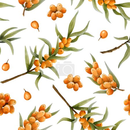 Photo for Sea buckthorn fall watercolor seamless pattern with branches and berries on white. Botanical background for autumn in warm orange and green color for cosmetics or herbal products. - Royalty Free Image