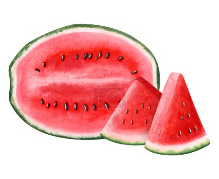 Photo for Watercolor watermelon oval half with triangle slices illustration isolated on white background. Hand drawn cut summer fruit clipart for juicy food and drink designs, organic juice. - Royalty Free Image