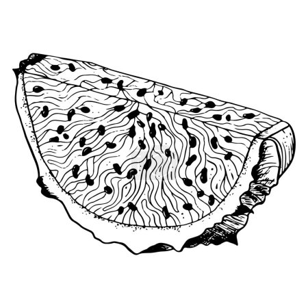 Téléchargez les illustrations : Coupe de fruits de dragon Pitaya en illustration détaillée de style contour noir et blanc. Plante exotique tropicale pour textile, tissu, impression, menu, design numérique. - en licence libre de droit