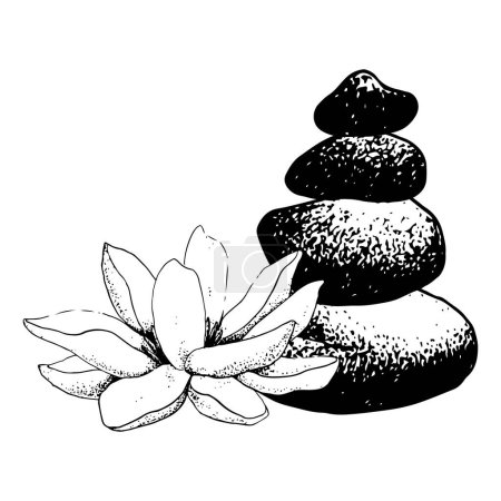 Illustration for Vector lotus flower and balanced stones pyramid realistic graphic sketch illustration for yoga centers, natural cosmetics and health care. - Royalty Free Image