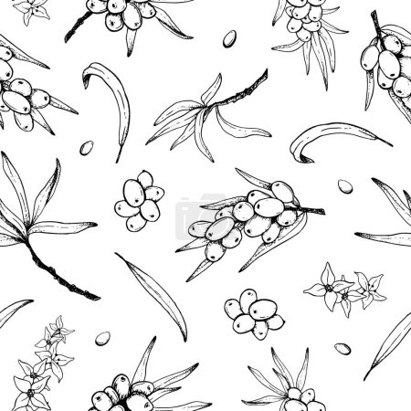 Illustration for Sea buckthorn outline vector seamless pattern with sea berries, branches and leaves. Hand drawn black and white background for printing, textiles, natural cosmetics and package design. - Royalty Free Image