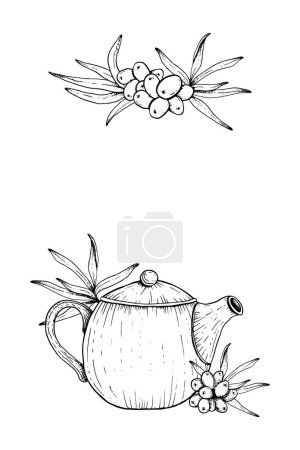 Illustration for Vector teapot with sea buckthorn branches, berries and leaves elegant card or invitation template. Hand drawn outline illustration. Hippophae herbal organic tea sketch. - Royalty Free Image