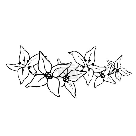 Ilustración de Guirnalda gráfica vectorial de flores de espino cerval de mar ilustración de banderas florales. Planta gráfica en blanco y negro de estilo minimalista simple. - Imagen libre de derechos
