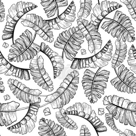 Illustration for Vector black and white graphic tropical palm leaves seamless pattern with jungle plants and monstera. Hand drawn exotic nature for prints, wrapping, fabric or wallpapers. - Royalty Free Image