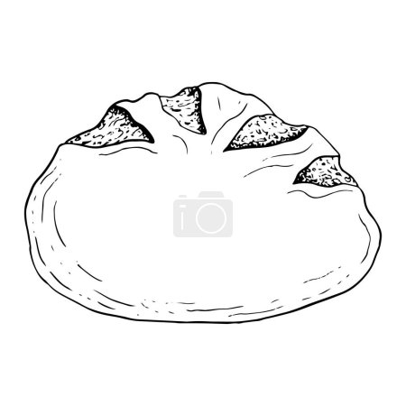 Illustration for Round loaf of fresh bread vector black and white illustration. Hand drawn rustic food sketch for bakery and kitchen decor, menu, cookbook, recipe, picnic, Shavuot designs. - Royalty Free Image
