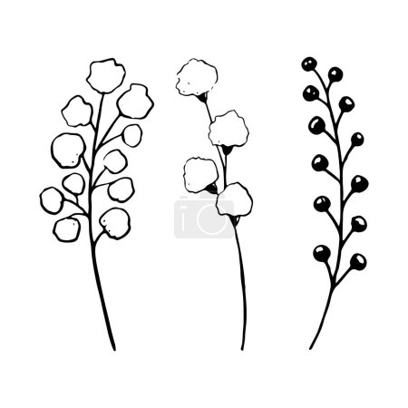 Téléchargez les illustrations : Ensemble d'illustration de fleurs de champ rondes. Clipart botanique de fleurs sauvages pour les motifs floraux du printemps et de l'été et les mariages rustiques. - en licence libre de droit