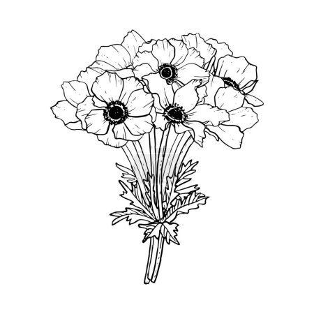 Illustration for Elegant black and white bouquet of anemone flowers vector illustration. Field poppies for spring wedding design and coloring books. - Royalty Free Image